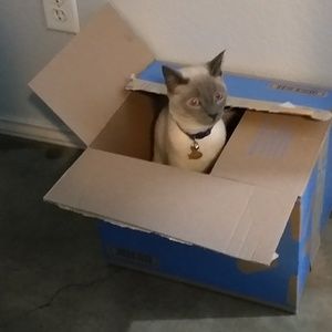 Meet your Posher, Rosa